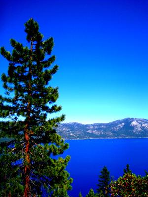 The View From the Top of the World