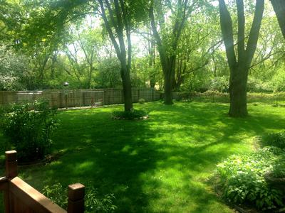 Trees, Trees, and More Trees!