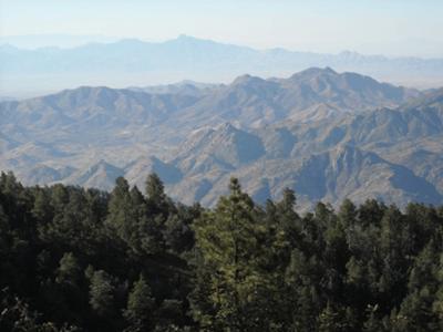 Retired In Arizona: Our Camping Trip