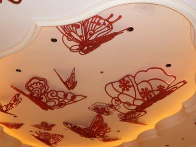 3-D Butterflies on the Ceiling