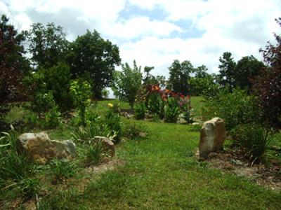 Walking Trail at Pells Gap Estates