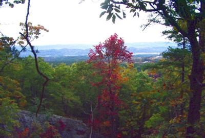 Overlook at Pells Gap Estates