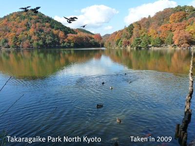 The Autumn of My Life