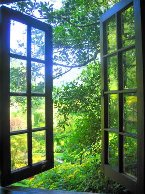 Window To the Future