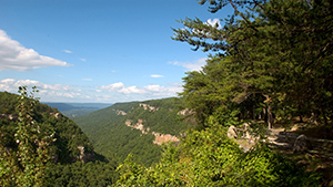 Cloudland Canyon, North Georgia