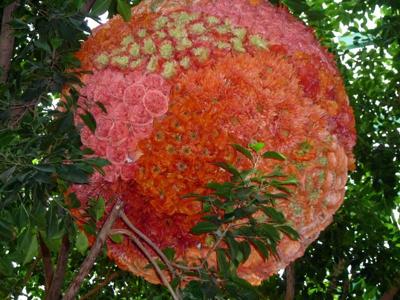 Flowers... just beautiful!